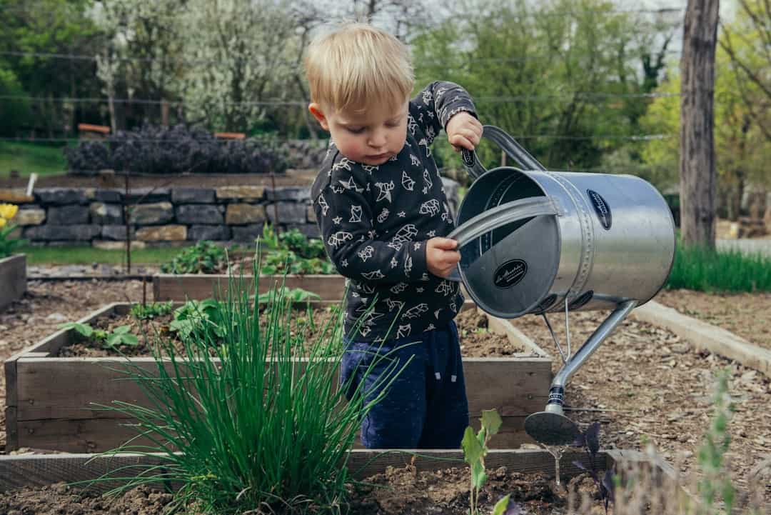 Read more about the article comment remplir votre carré potager