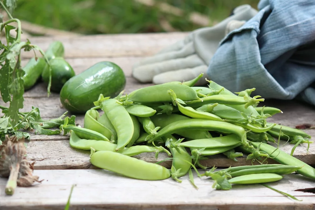 Read more about the article protéger les légumes du potager des limaces