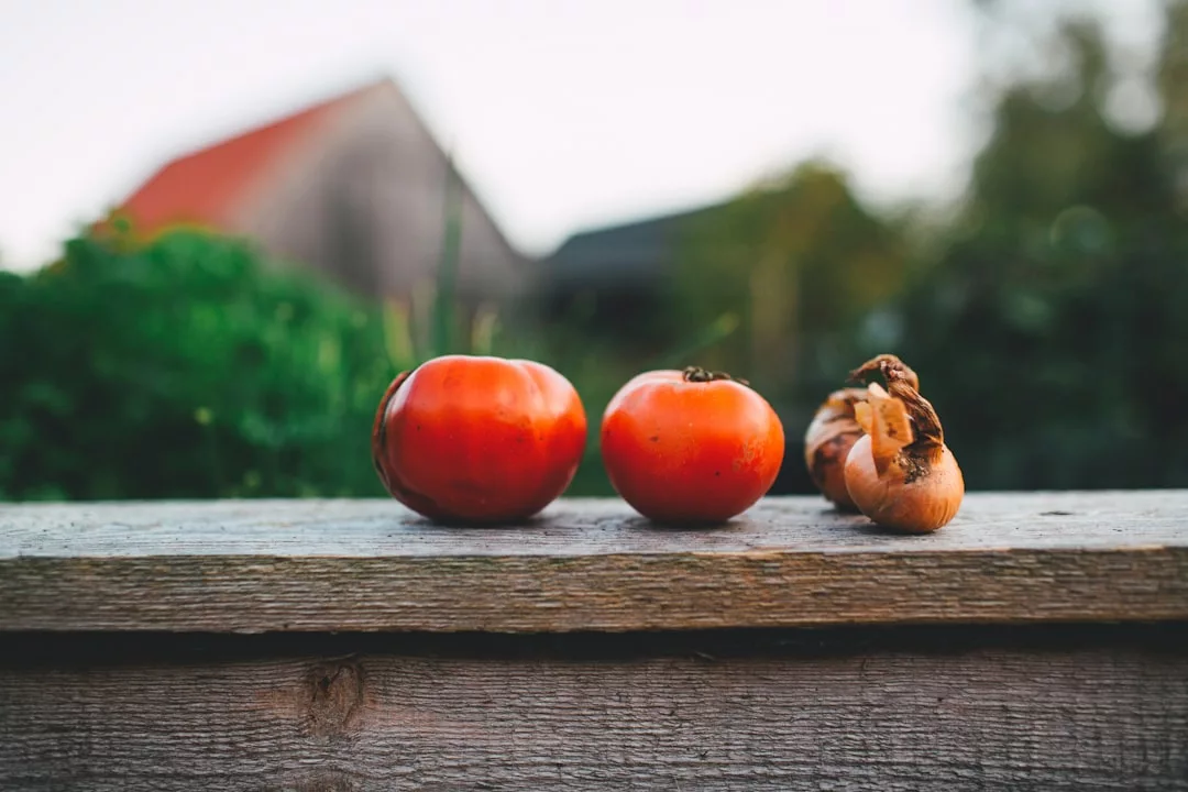 Read more about the article Cultiver un potager en sol alcalin