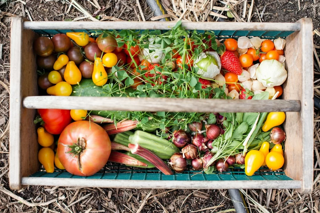 Read more about the article Quelles plantes pour un potager pédagogique