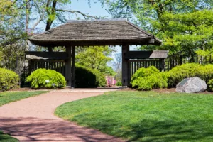 Photo Garden path